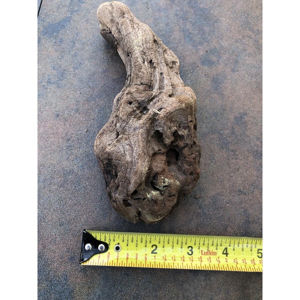 Natural Driftwood for Plants Terrarium Taxidermy Art Projects - Picture 4 of 5